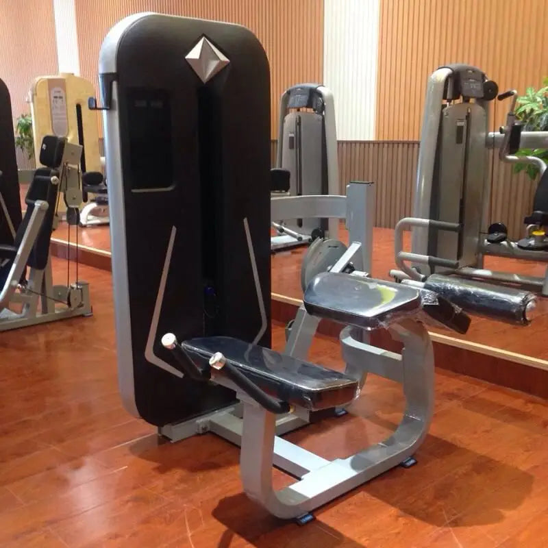 Strength Training Gym Machine Gym Use Equipment Rotary Torso Rotation Machine - Sun Studio