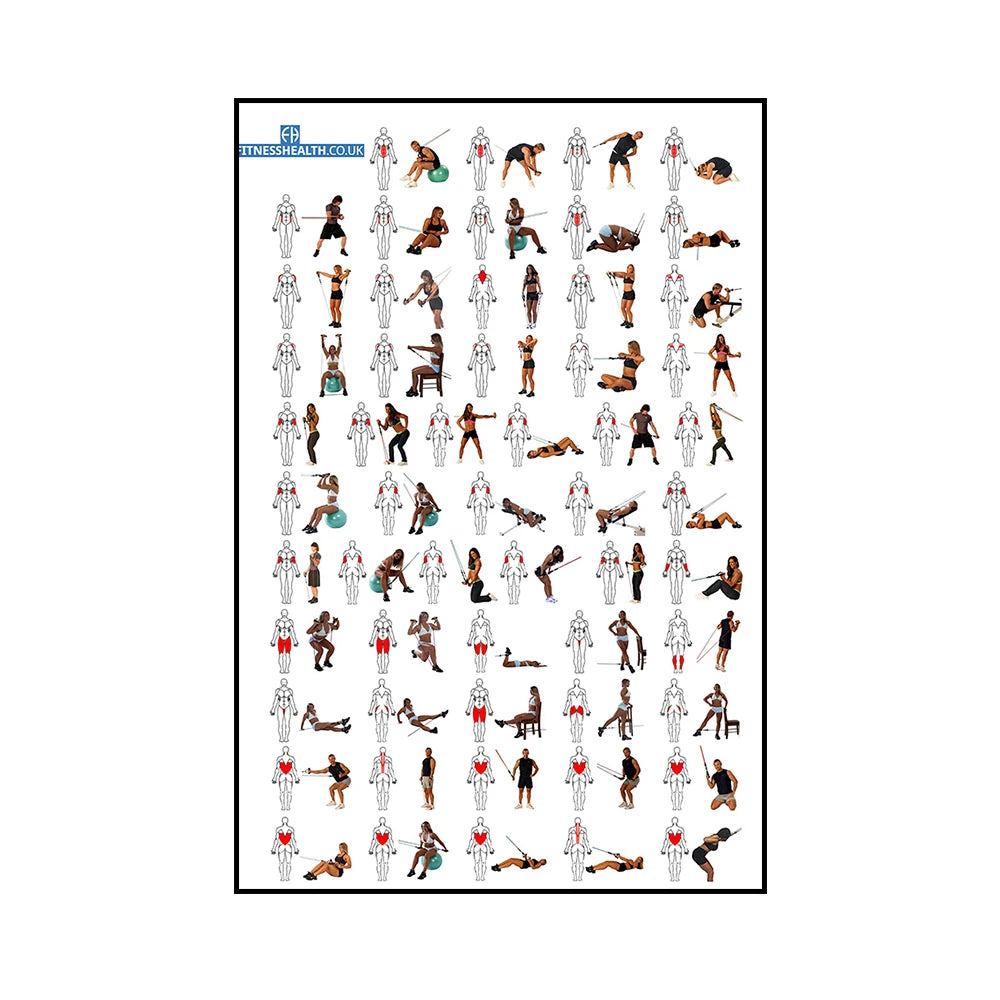 Gym Yoga Studio Workout, detaillierte Aktionsgrafik, Pose Leinwandposter, Bodybuilding Wandkunst, Drucke für die Heimraumdekoration