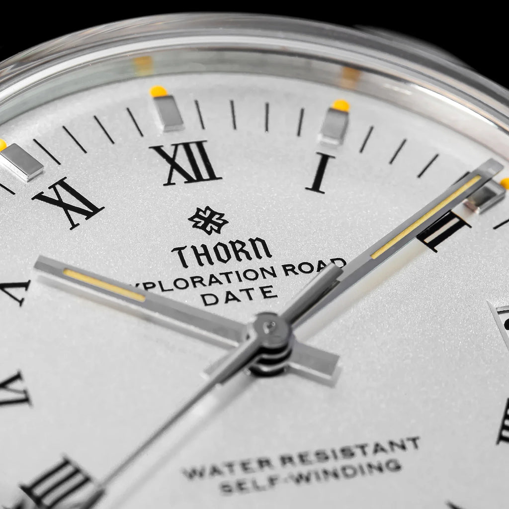 THORN T004 34mm Retro Men's Watch Automatic Movement Watch Hemisphere Sapphire Luminous 10Bar Waterproof Watches - Sun Studio