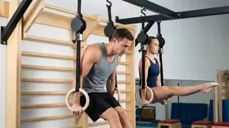 Birch Fitness Rings High Load-Bearing Adjustable Home Gymnastics Exercise Equipment Stamping Pull up Rings Wooden - Sun Studio