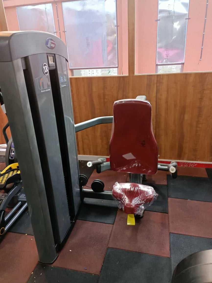 Gym Equipment Commercial Use Arm Exercise Muscle Training Alternate Triceps Machine For Club - Sun Studio
