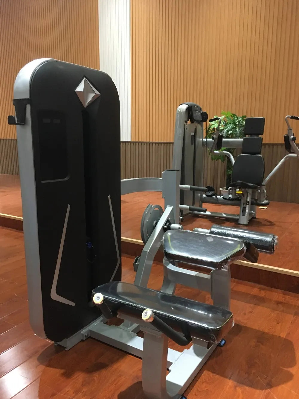 Strength Training Gym Machine Gym Use Equipment Rotary Torso Rotation Machine - Sun Studio