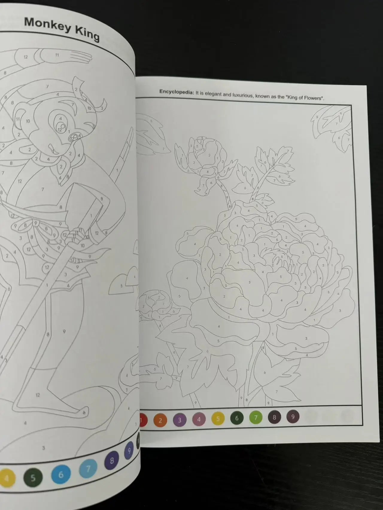 48 Pages Fun Coloring Activities Sketching Graffiti Beginners To Draw Containing Animals Flowers Castles Children Aged 3-8 - Sun Studio