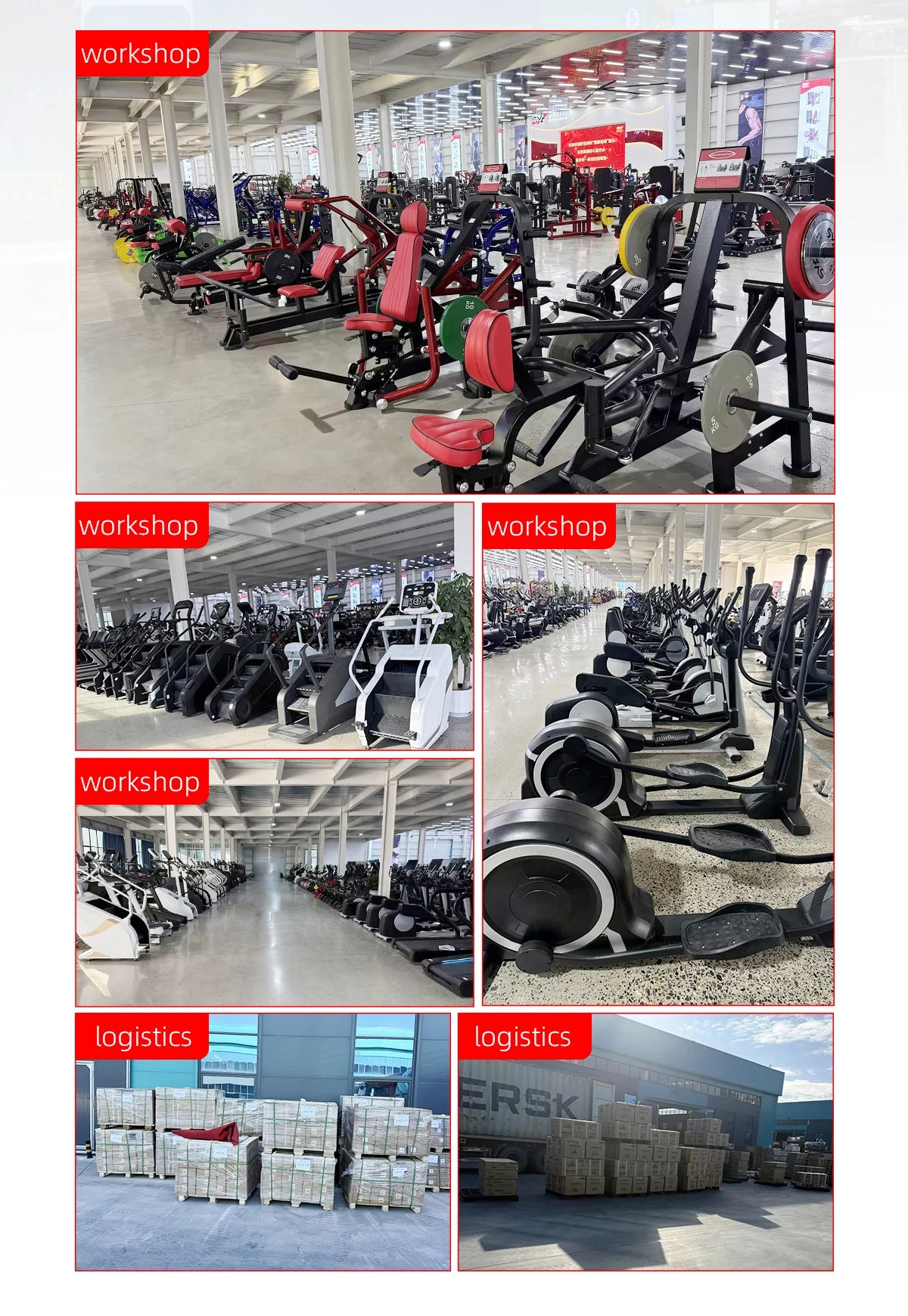 Indoor Fitness Equipment: Gym Bench Press, Leg Extension, Chest Press, Back Pull Training Machine - Sun Studio