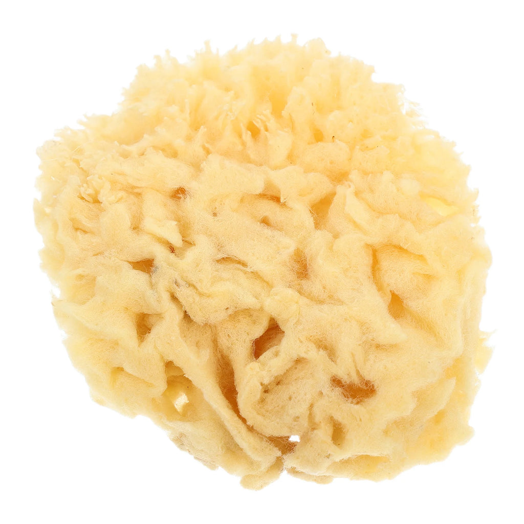 Natural Sea Sponge Painting Tools for Kids Artists Highly Absorbent Durable Sponges Watercolor Acrylic Texture Painting Reusable - Sun Studio