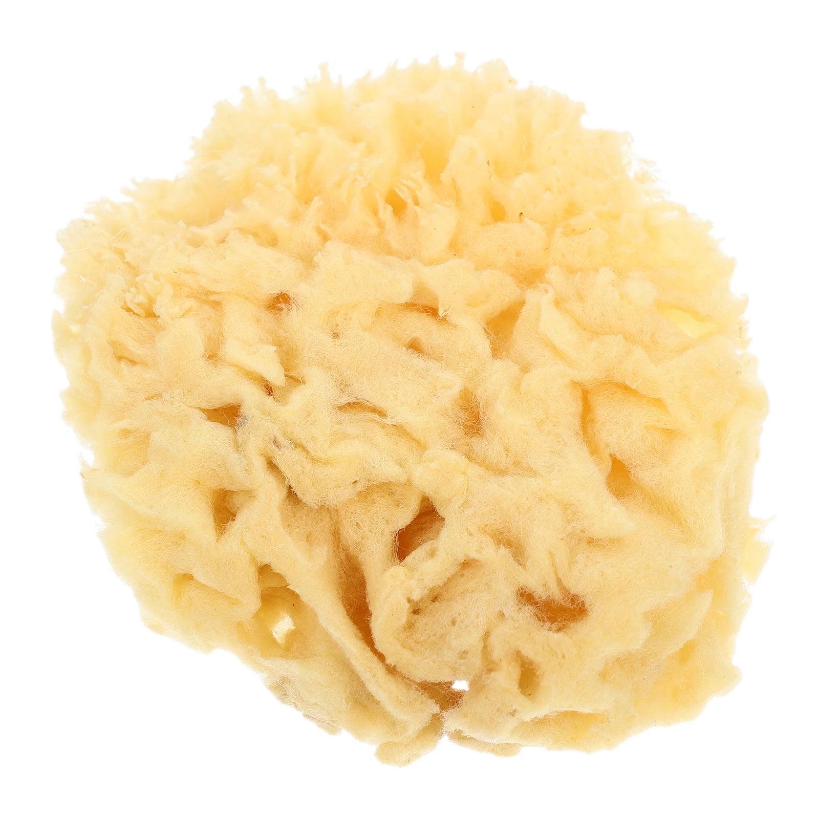 Natural Sea Sponge Painting Tools for Kids Artists Highly Absorbent Durable Sponges Watercolor Acrylic Texture Painting Reusable - Sun Studio