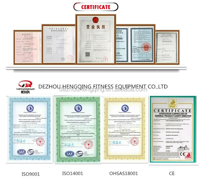 Gym Use Fitness Equipment Other Sports Training Device Arm Curl Training Back Shoulder Biceps Exercise Machine - Sun Studio