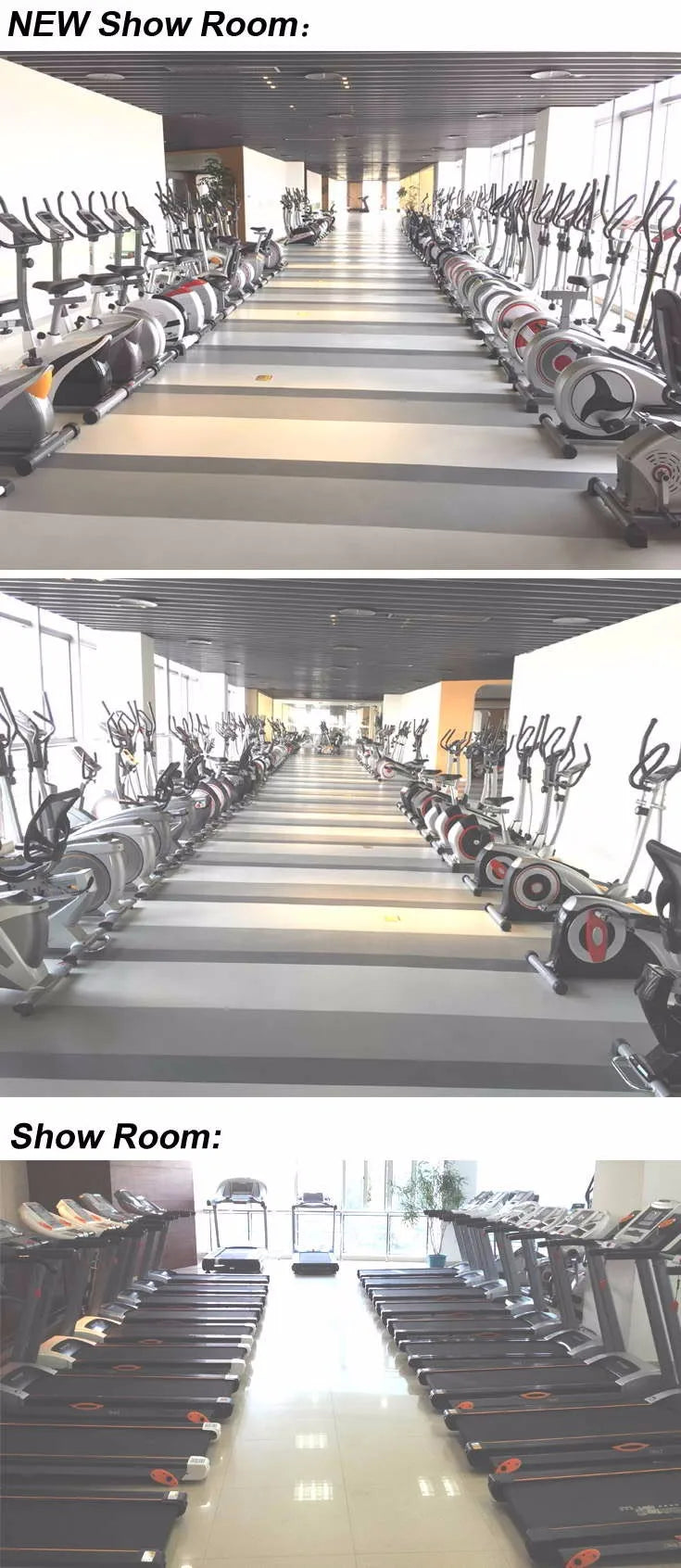 Gym Fitness Equipment Manufacturer Commercial Indoor Upright Bike - Sun Studio