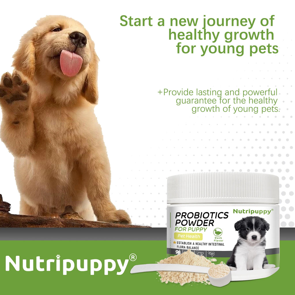 Dog Probiotic Powder Supplement - Supports Digestive Health&Relieves Diarrhea,Boosts Immune System for Puppy Adult Senior Dogs - Sun Studio