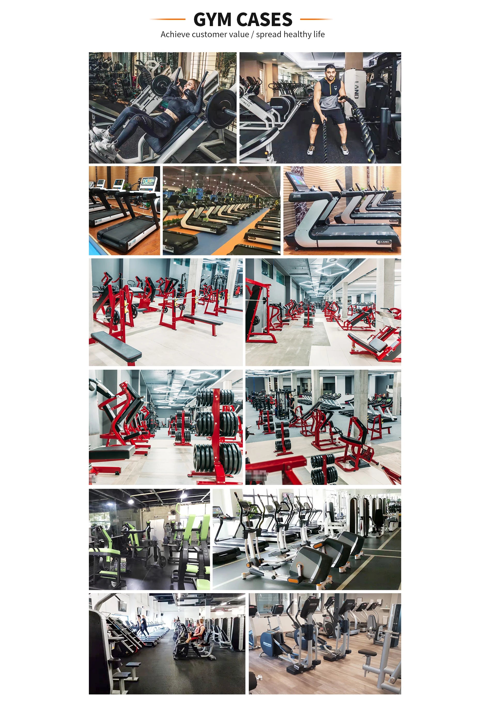 Gym Equipment Strength Training Arm Extension Biceps Curl Machine For Gym Center - Sun Studio