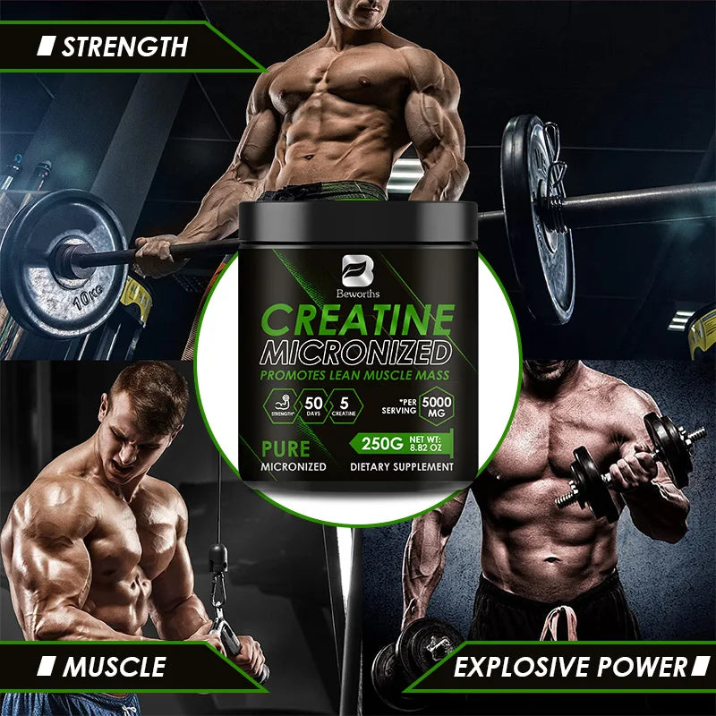 BEWORTHS Creatine Monohydrate Sports Dietary Supplements for Workout Muscle Building Cellular Energy Enhance Muscle Strength - Sun Studio