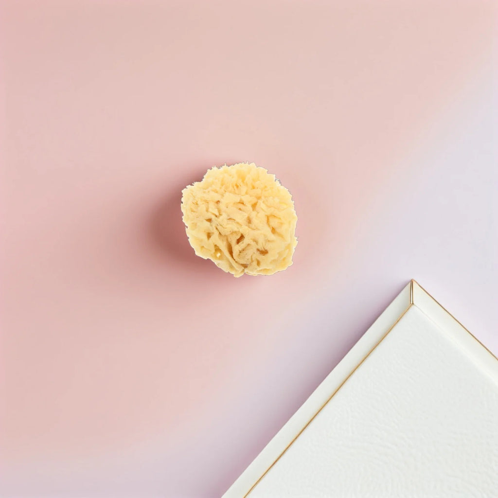Natural Sea Sponge Painting Tools for Kids Artists Highly Absorbent Durable Sponges Watercolor Acrylic Texture Painting Reusable - Sun Studio