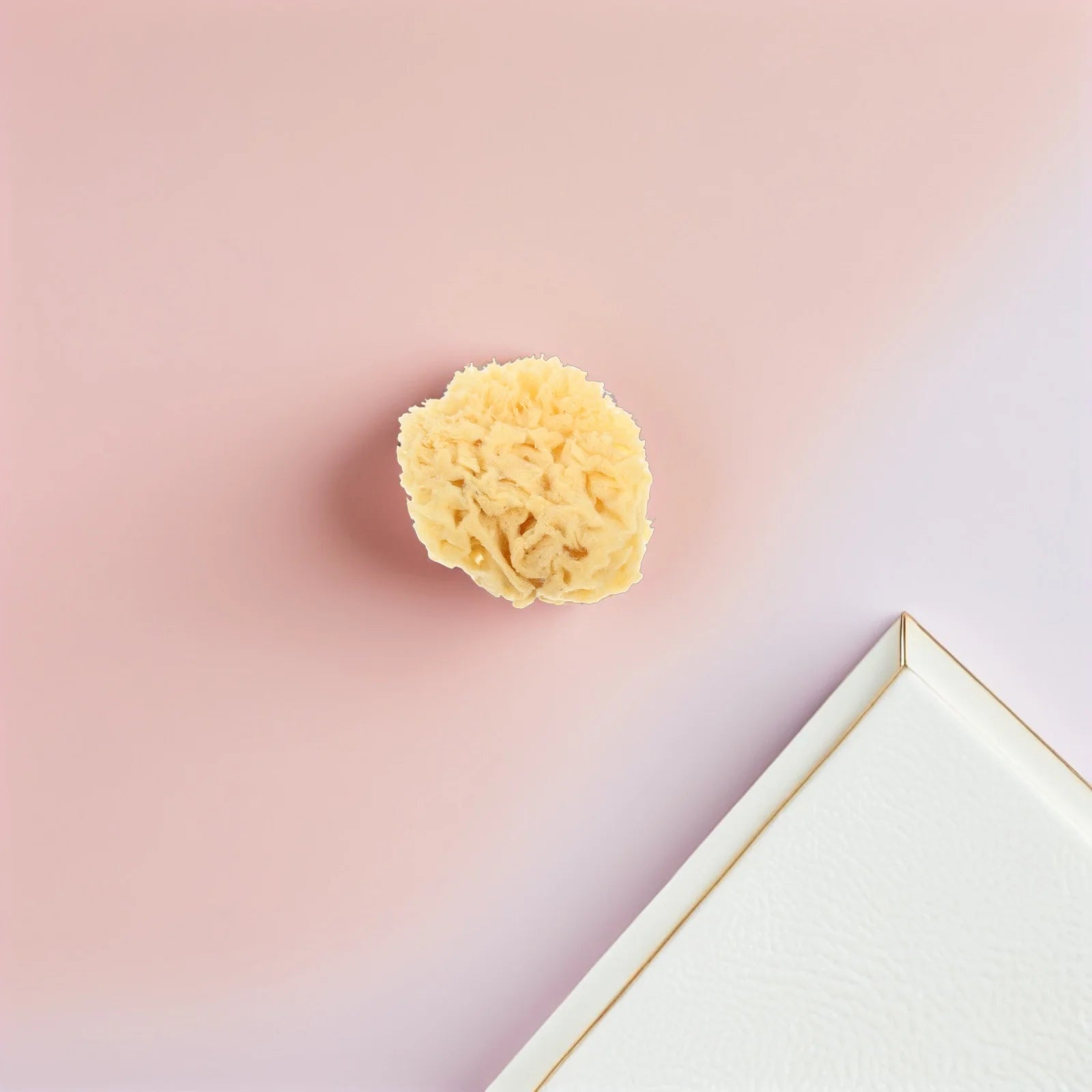 Natural Sea Sponge Painting Tools for Kids Artists Highly Absorbent Durable Sponges Watercolor Acrylic Texture Painting Reusable - Sun Studio
