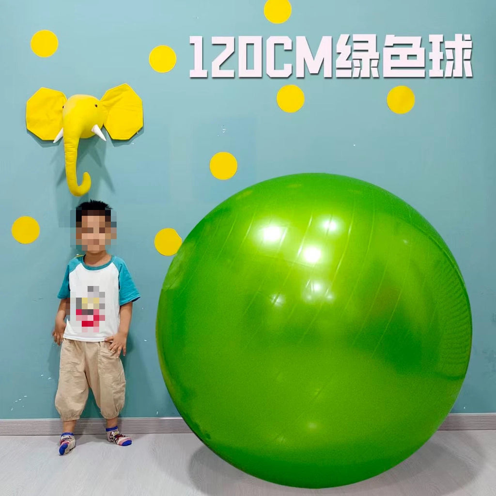Massage Yoga Ball  120cm Pilates Gym Ball Fitness Ball Pump - Sun Studio