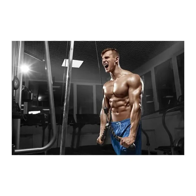 Fitness Motivation Canvas Art  Sexy Bodybuilding Girl Poster Gym Weightlifting Wall Decor for Living Room Bedroom Home Gym Fitne - Sun Studio