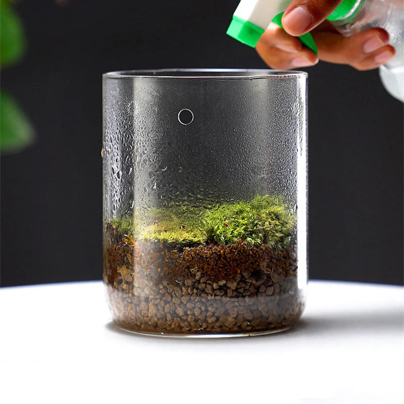 Glass Bottles Creativity Dew Collection Glass Vase Micro Landscape Succulent Moss Landscape Glass Terrarium Home Decor - Sun Studio