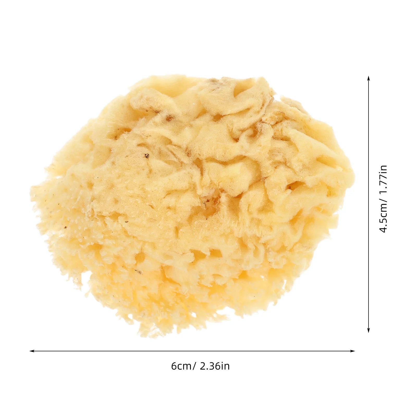 Natural Sea Sponge Painting Tools for Kids Artists Highly Absorbent Durable Sponges Watercolor Acrylic Texture Painting Reusable - Sun Studio