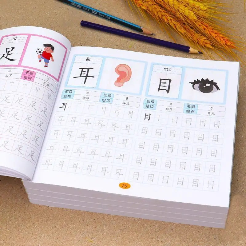 Chinese Characters Pre-School 600-word Calligraphy 4 Books Didactic Book for Children Practice Kids Early Education Painting Art - Sun Studio