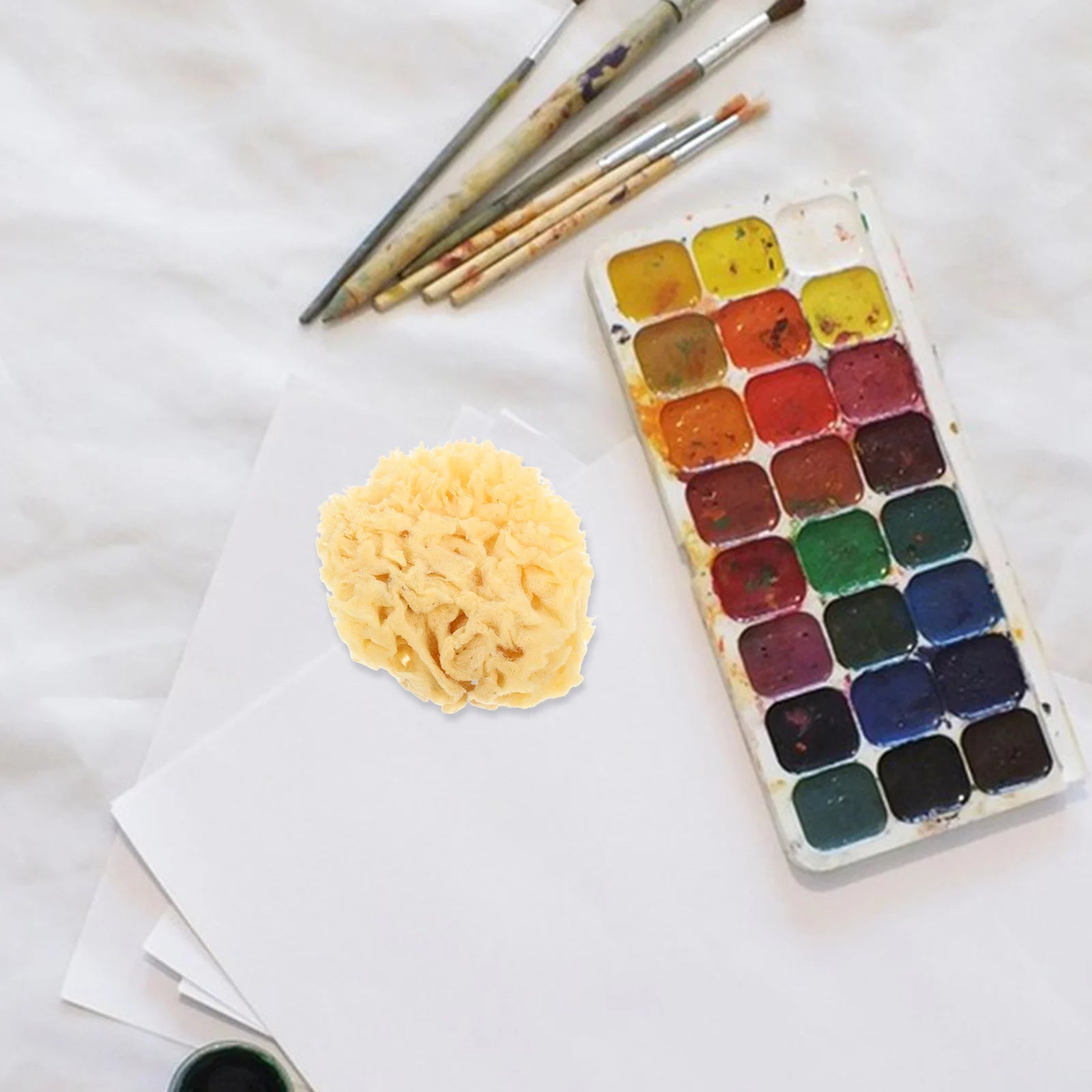Natural Sea Sponge Painting Tools for Kids Artists Highly Absorbent Durable Sponges Watercolor Acrylic Texture Painting Reusable - Sun Studio