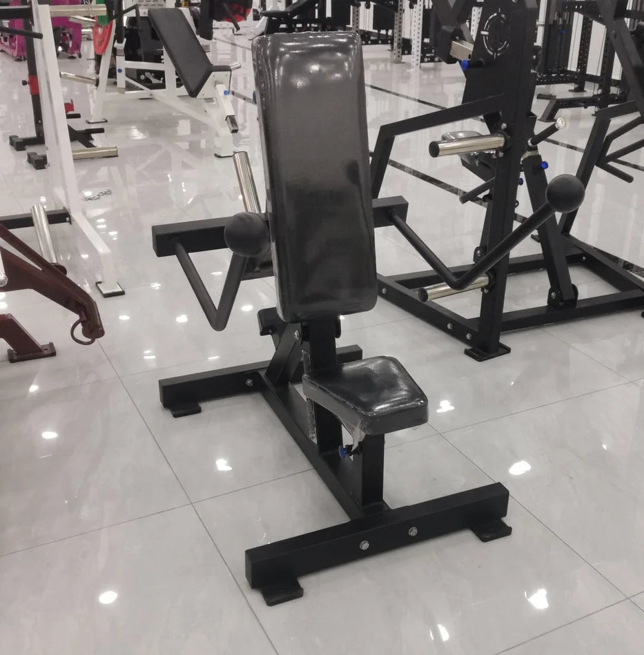 Gym Plate Loaded Strength Machine Arms Exercise Equipment Seated Dips Gym Station Triceps Kickback Dip - Sun Studio