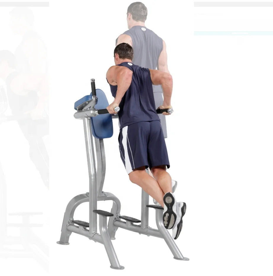 Commercial Gym Equipment Vertical Knee Chin-up Raise Dip Machine For Bodybuilding Strength Training - Sun Studio