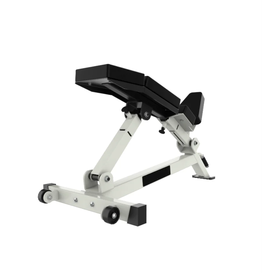 Body Building Gym Fitness Equipment Strength Trainer Waist Exercise Incline Adjustable Lumbar Incline Bench - Sun Studio