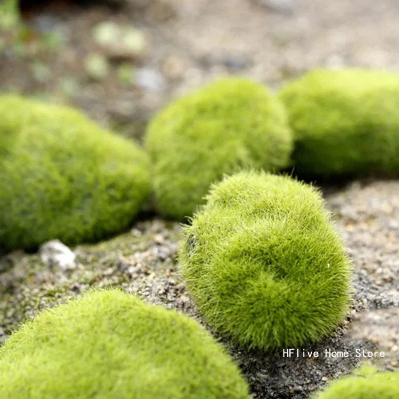 4 Size Fake Stone Artificial Moss Rocks Home Decor Simulation Plant DIY Decoration For Garden and Crafting Green Wholesale - Sun Studio