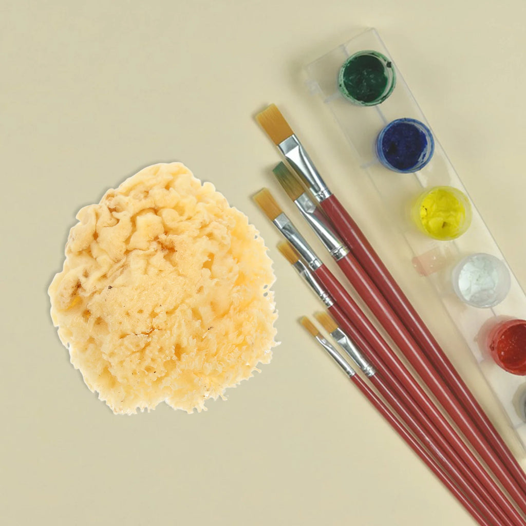 Natural Sea Sponge Painting Tools for Kids Artists Highly Absorbent Durable Sponges Watercolor Acrylic Texture Painting Reusable - Sun Studio