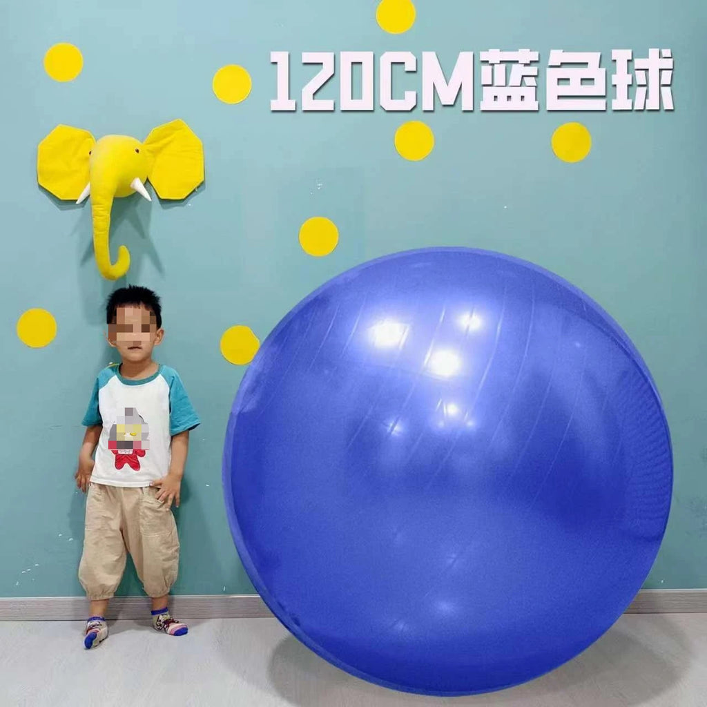 Massage Yoga Ball  120cm Pilates Gym Ball Fitness Ball Pump - Sun Studio