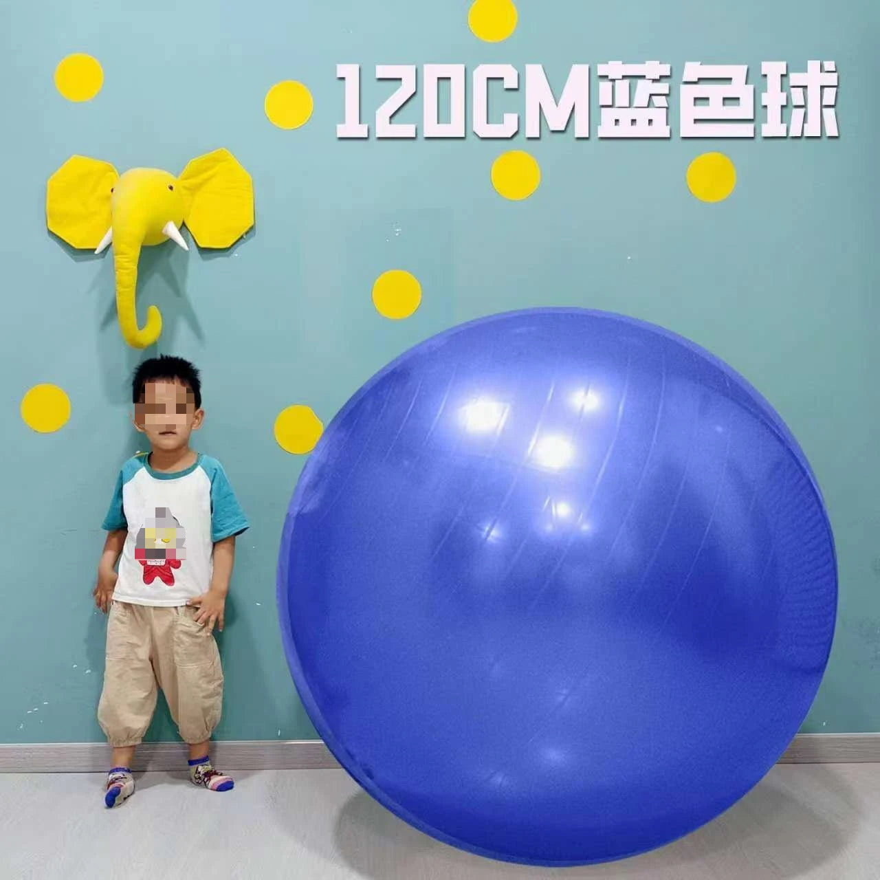 Massage Yoga Ball  120cm Pilates Gym Ball Fitness Ball Pump - Sun Studio