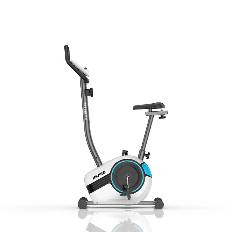 Gym Workout Indoor Exercise Spin Training Upright Bike - Sun Studio