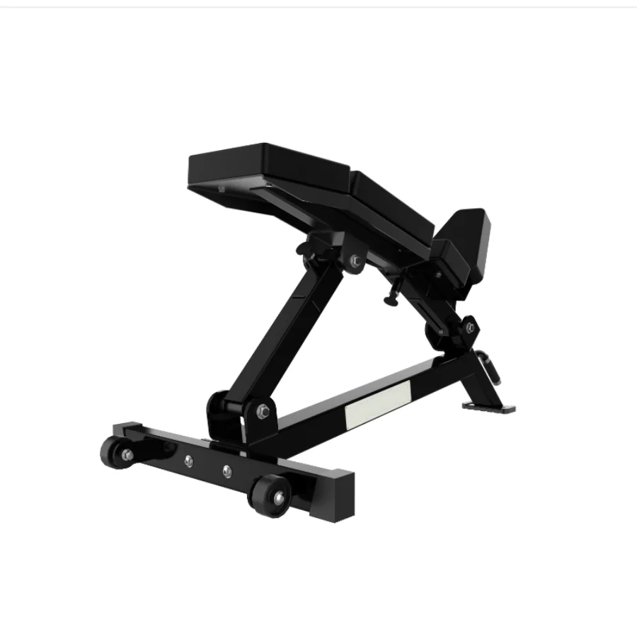 Body Building Gym Fitness Equipment Strength Trainer Waist Exercise Incline Adjustable Lumbar Incline Bench - Sun Studio