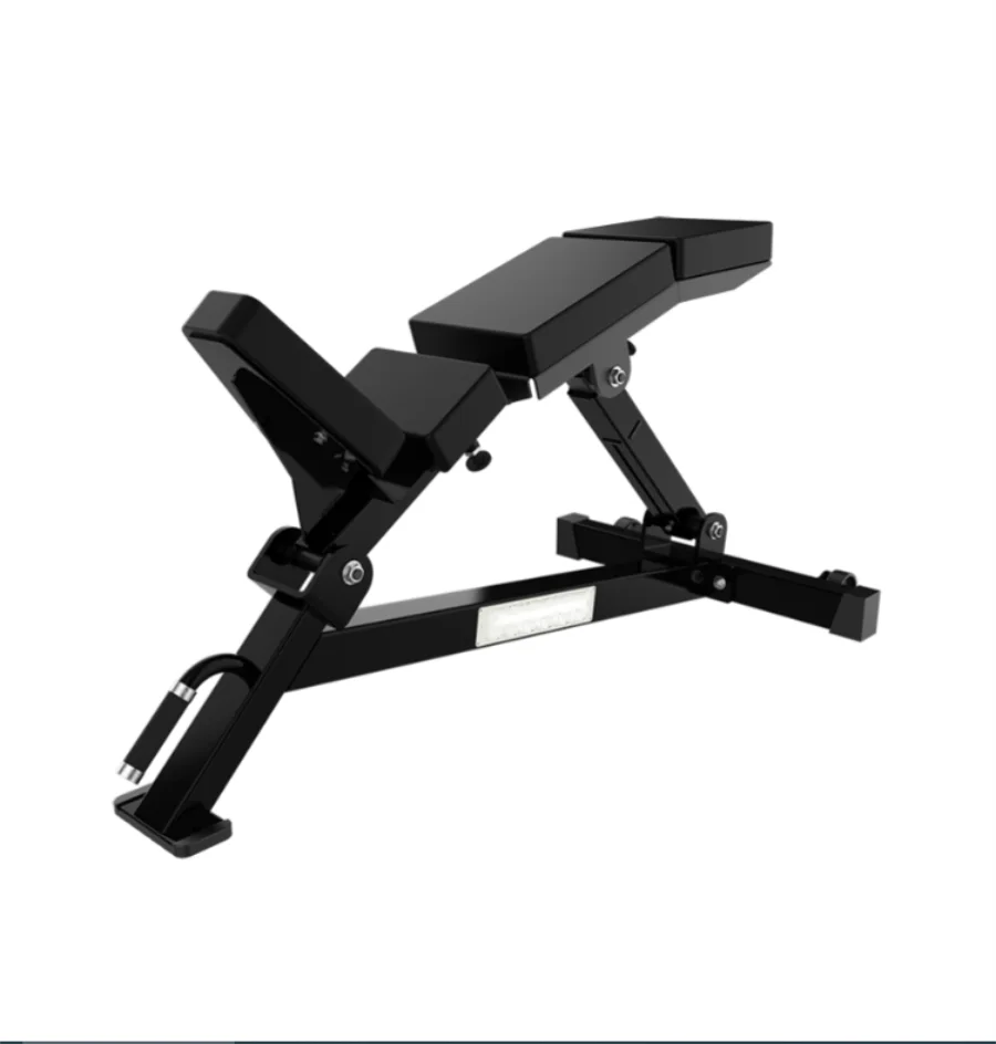 Body Building Gym Fitness Equipment Strength Trainer Waist Exercise Incline Adjustable Lumbar Incline Bench - Sun Studio