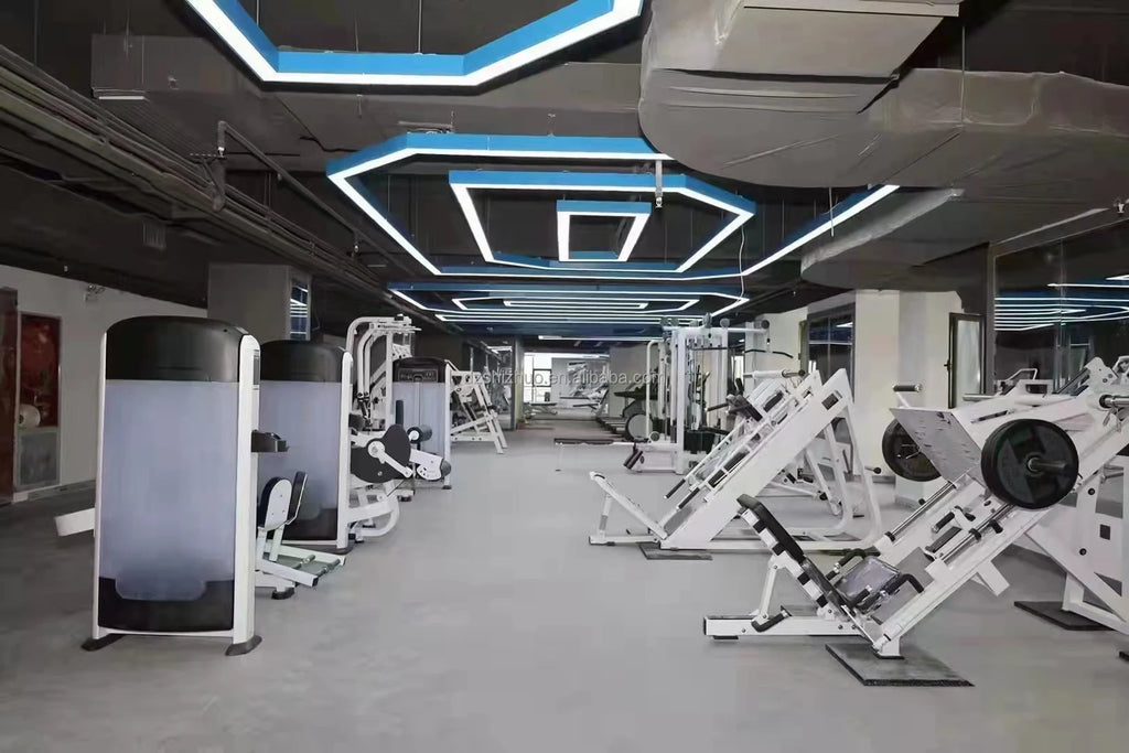 Shizhuo High End Commercial Plate Loaded Gym Fitness Equipment Machine Adjustable Abdominal Bench - Sun Studio