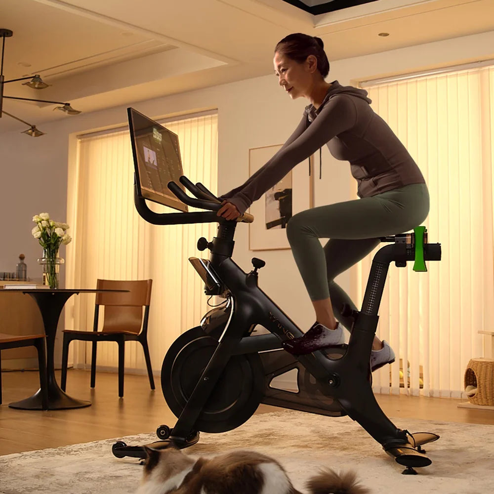 Smart Home Gym Machine High Quality Multi-Purpose Metal Gym Equipment with Music Wheel for Home Use - Sun Studio