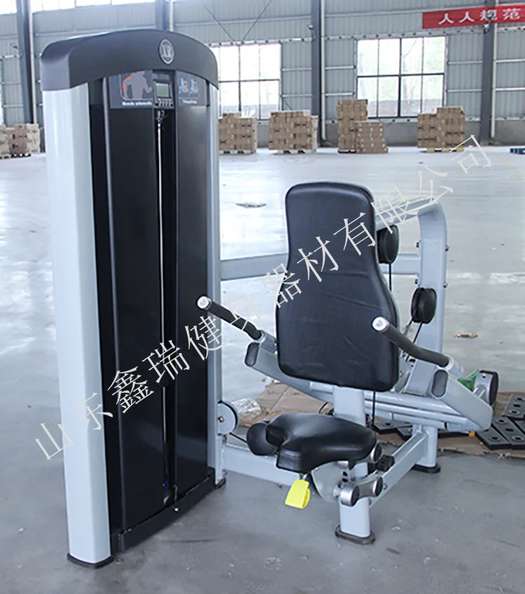 Gym Equipment Commercial Use Arm Exercise Muscle Training Alternate Triceps Machine For Club - Sun Studio