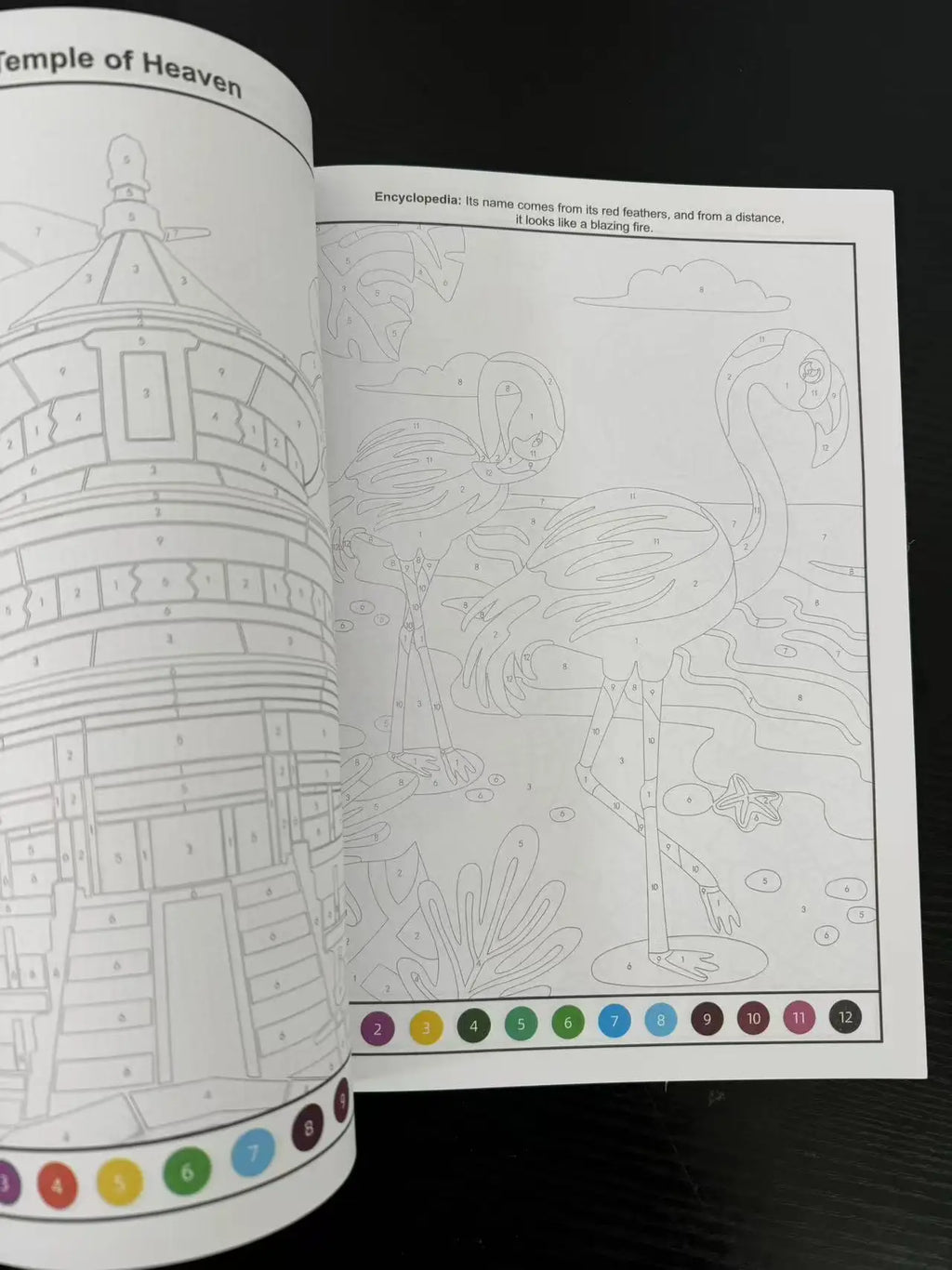 48 Pages Fun Coloring Activities Sketching Graffiti Beginners To Draw Containing Animals Flowers Castles Children Aged 3-8 - Sun Studio