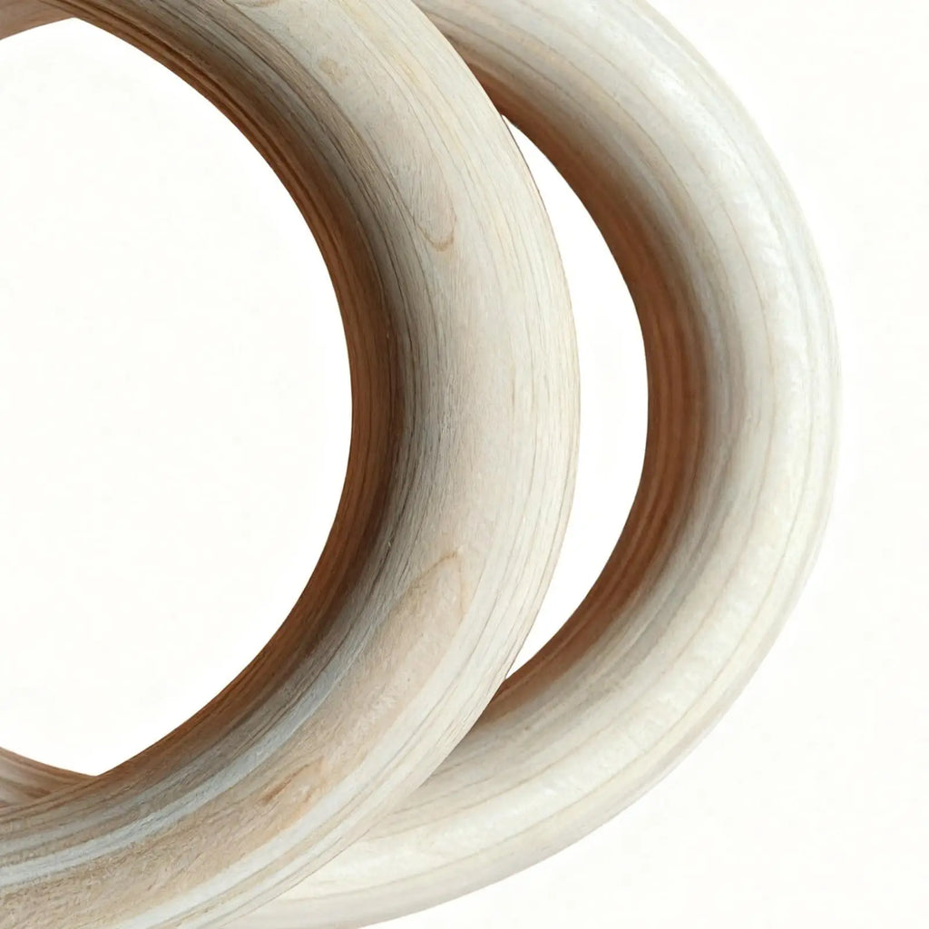 Rings Gymnastics 2 Pieces Calisthenics Grips Equipment Fitness Training Rings For Home Gym Fitness Exercise Playground Indoor - Sun Studio