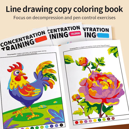 48 Pages Fun Coloring Activities Sketching Graffiti Beginners To Draw Containing Animals Flowers Castles Children Aged 3-8 - Sun Studio