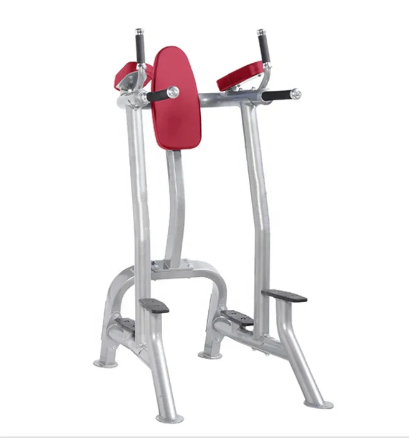 Commercial Gym Equipment Vertical Knee Chin-up Raise Dip Machine For Bodybuilding Strength Training - Sun Studio