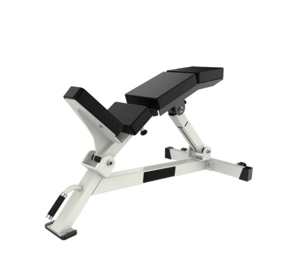 Body Building Gym Fitness Equipment Strength Trainer Waist Exercise Incline Adjustable Lumbar Incline Bench - Sun Studio