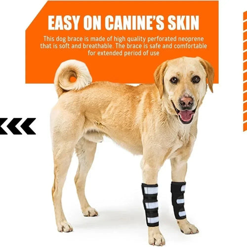1PC Portable Metal Strips Dog Front Leg Brace Reflective Strips Adjustable Straps Knee Brace Non-Slip Breathable ACL Support - Sun Studio