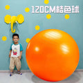 Massage Yoga Ball  120cm Pilates Gym Ball Fitness Ball Pump - Sun Studio