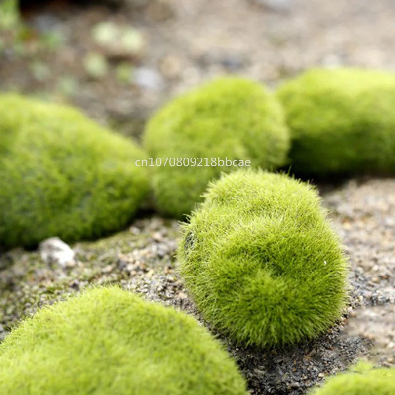 4 Size Fake Stone Artificial Moss Rocks Home Decor Simulation Plant DIY Decoration For Garden and Crafting Green Wholesale - Sun Studio